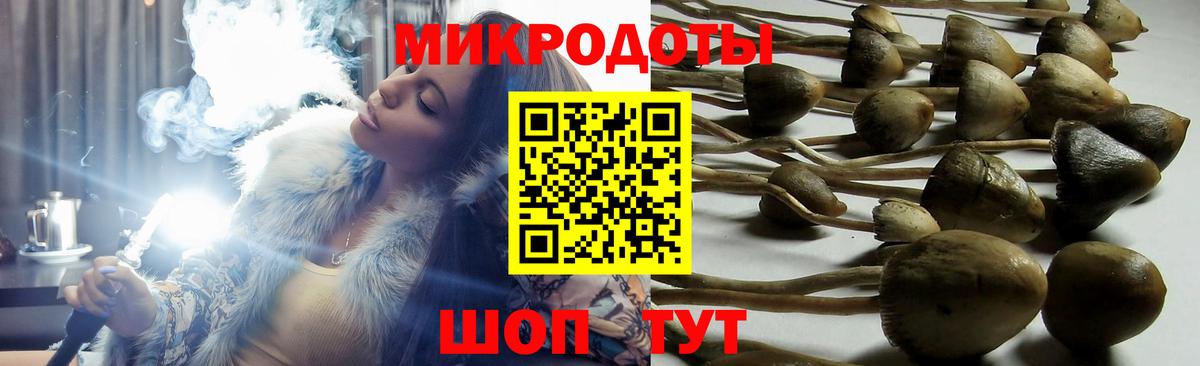 Псилоцибиновые грибы MAGIC MUSHROOMS Большой Камень